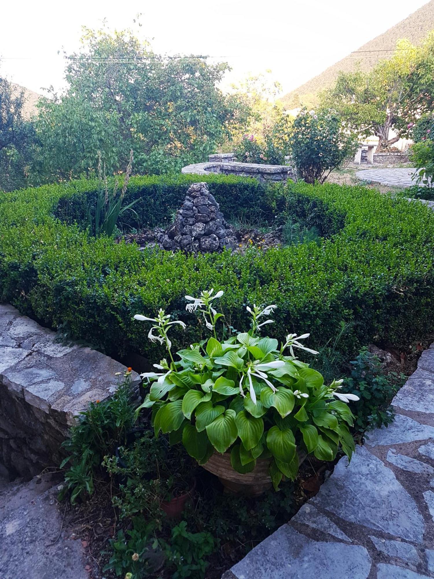 VlachernaΤο Αλώνι公寓 外观 照片