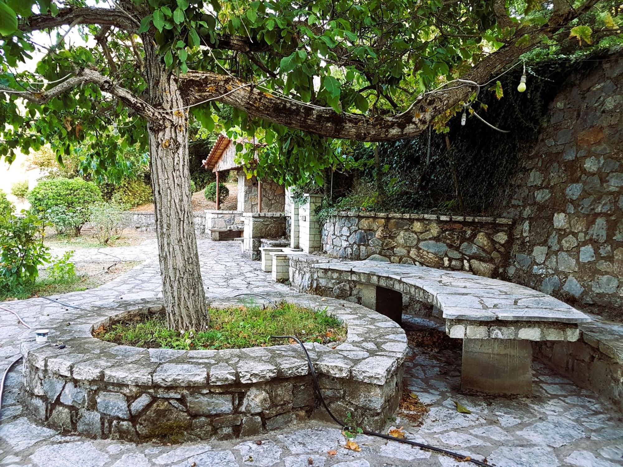 VlachernaΤο Αλώνι公寓 外观 照片