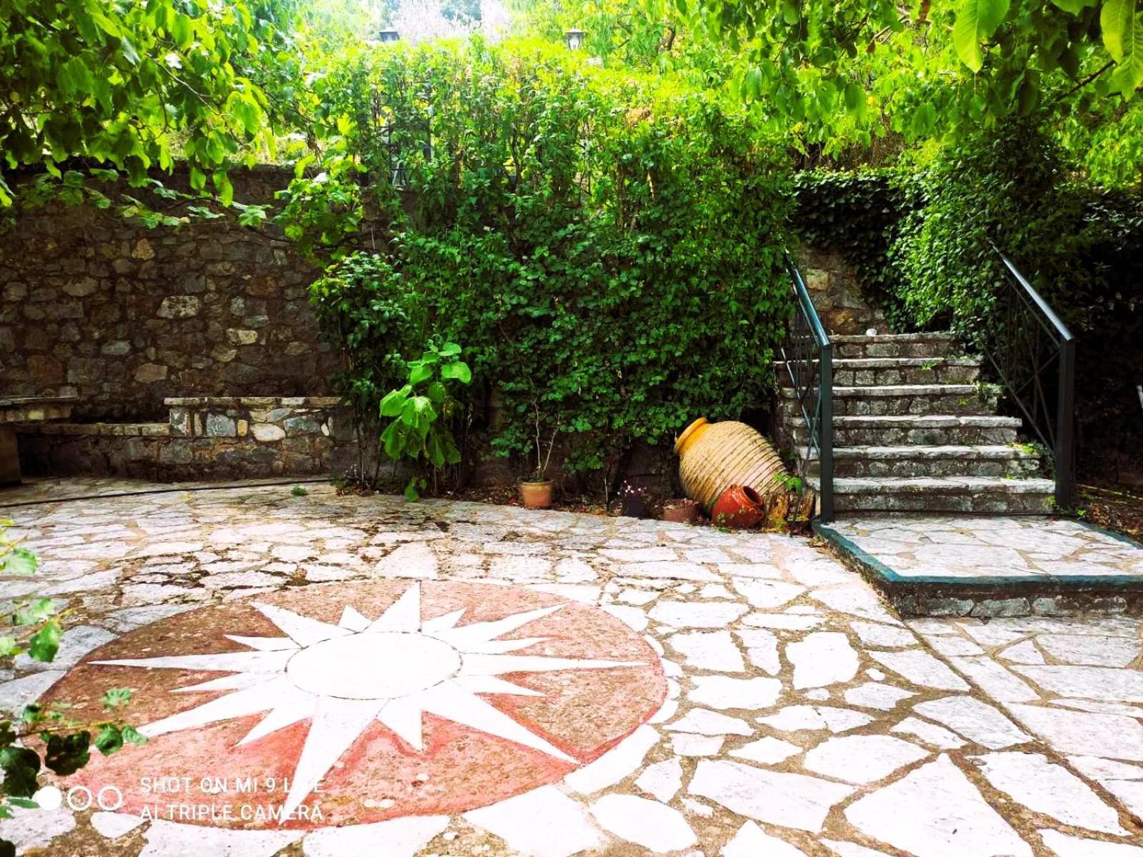 VlachernaΤο Αλώνι公寓 外观 照片